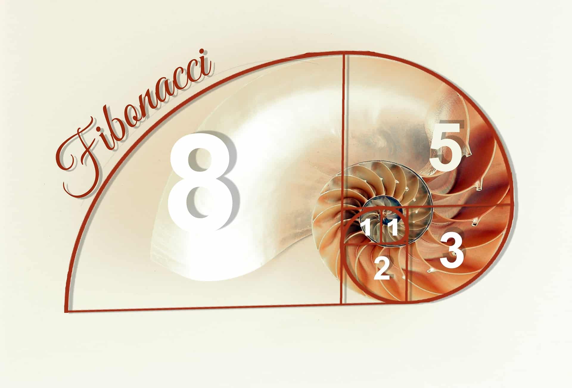 fibonacci-golden-ratio-seashell-gaia-meditation