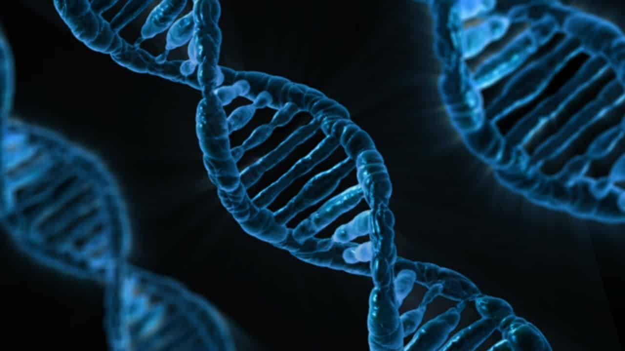 dna