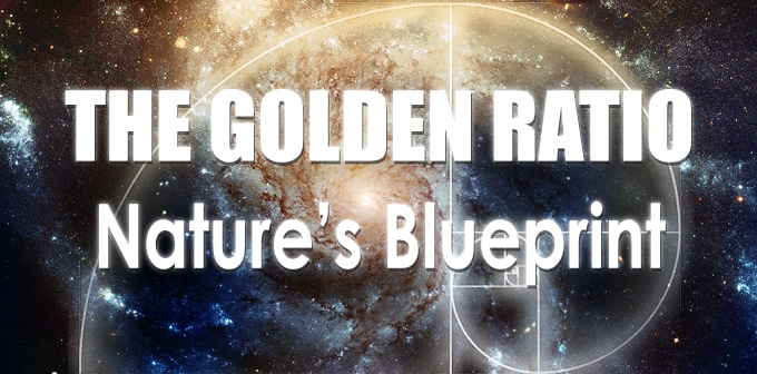 the golden ratio: nature's blue print