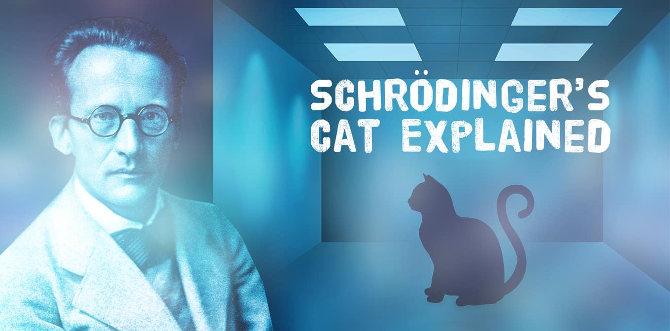 Schrodingers Cat Explained