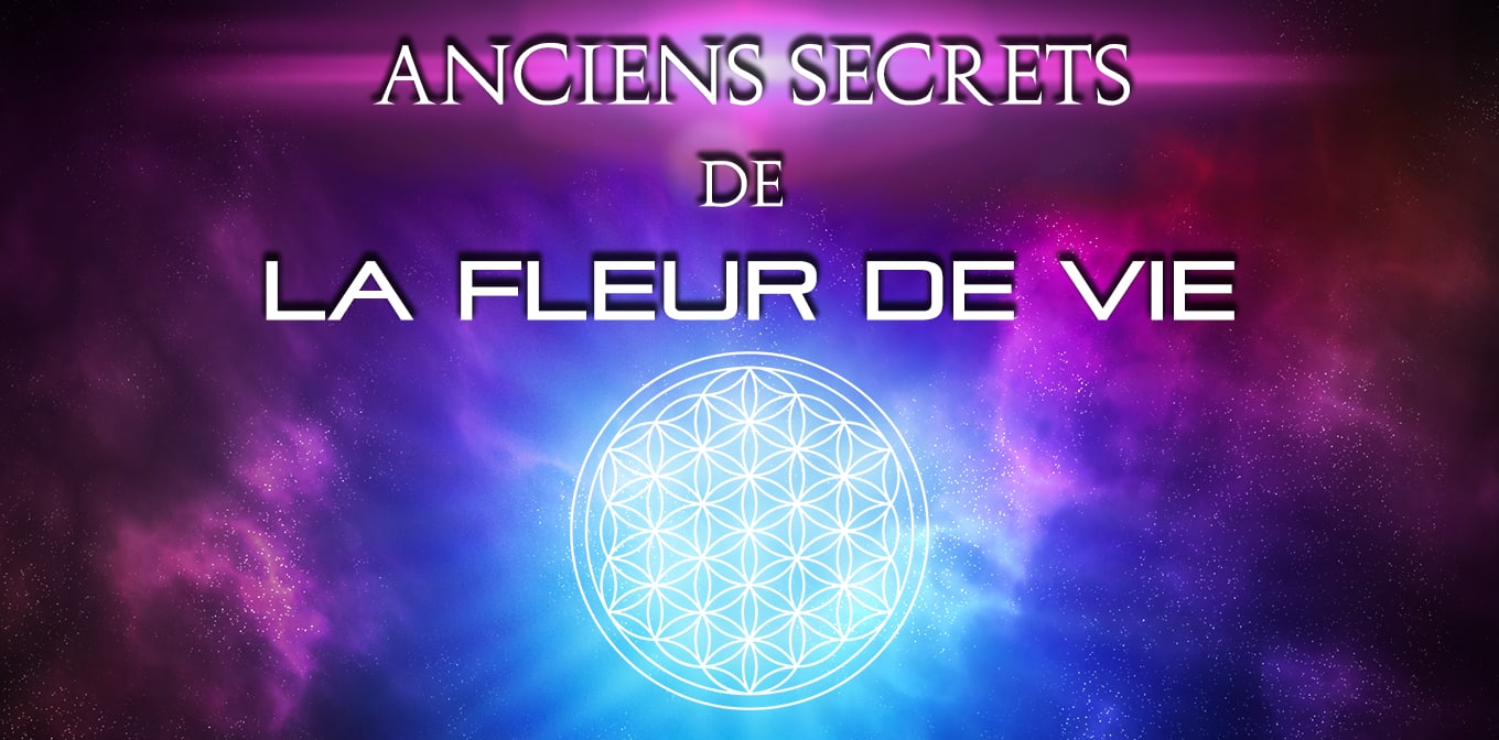 Fleurs de vie - Centre Conscience Quantique