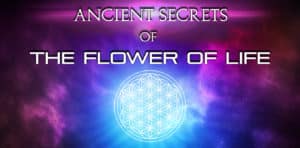 Flower Of Life