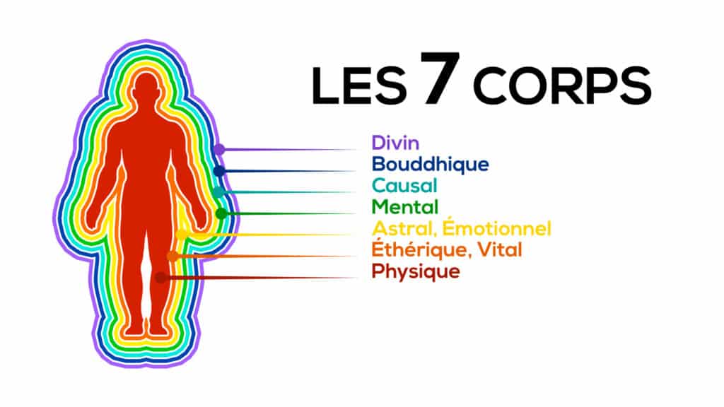 Les 7 Corps