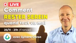 Comment rester serein lorsque tout va mal - Sylvère Caron