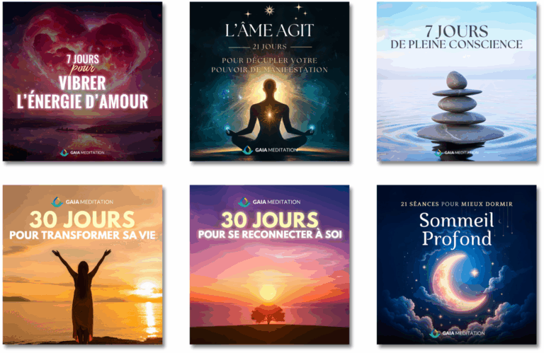 aperçu des programmes